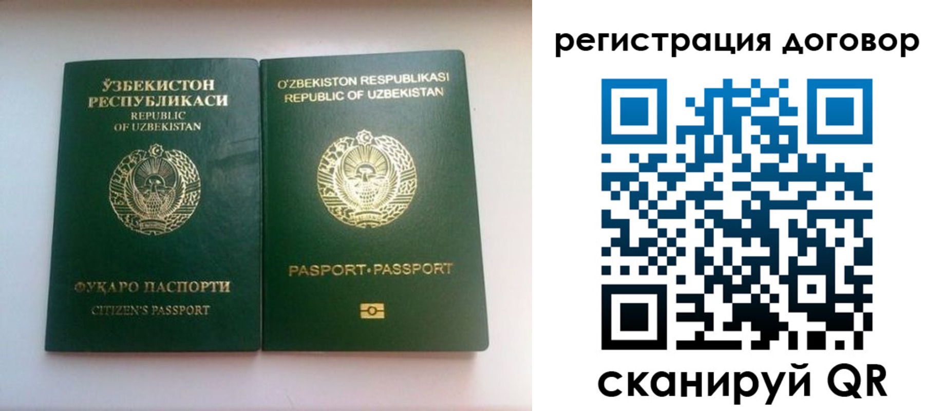 прописка в Щучье